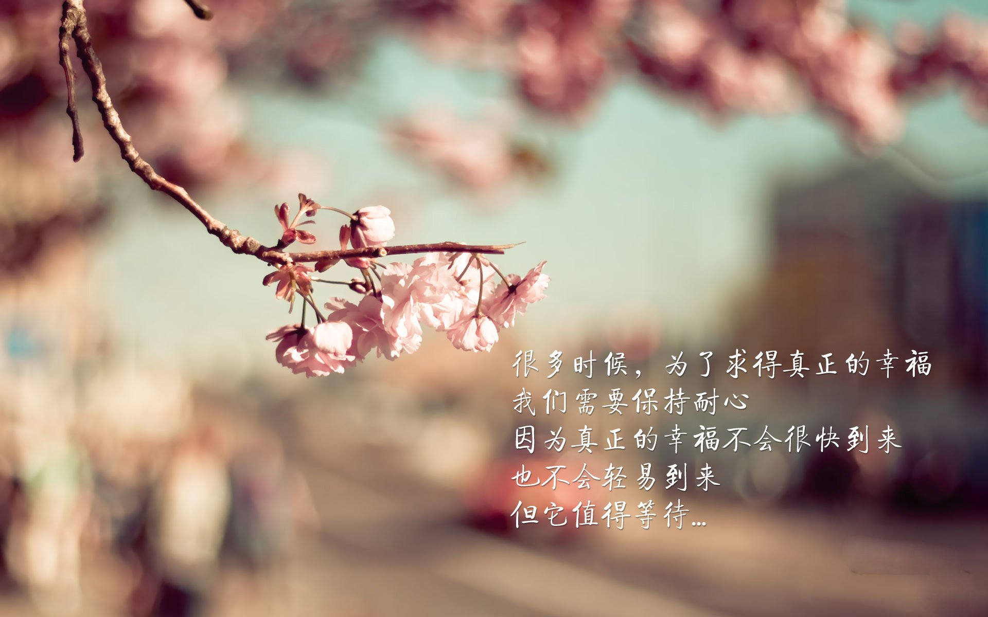 【赛事幕后】精彩的开幕式和闭幕式准备工作全流程揭秘,开幕式 流程