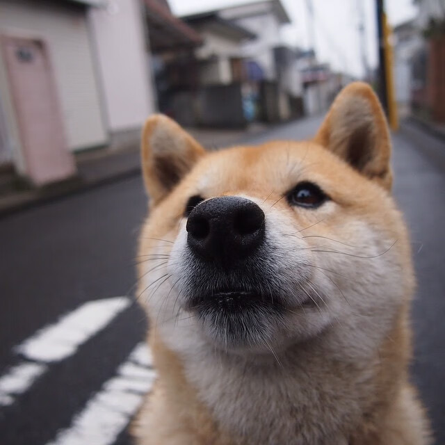 【赛事幕后】精彩的开幕式和闭幕式准备工作全流程揭秘,开幕式 流程