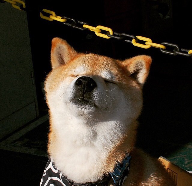 九游-世界马拉松大满贯赛事中国跑者表现出色，世界马拉松大满贯官网