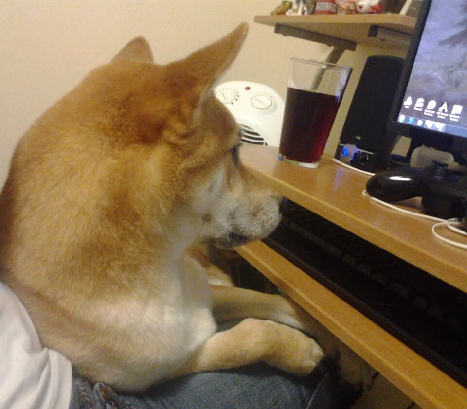 世界沙滩排球骑士战,海滩上的“金牌”角逐,沙滩排球世界第一