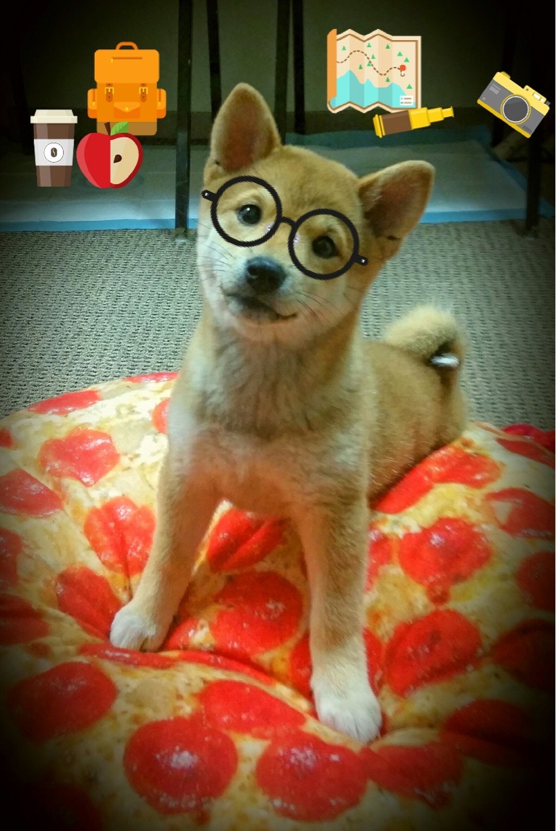 史上最“爆炸”逆转:那场比赛让所有观众疯狂!,爆炸排名视频