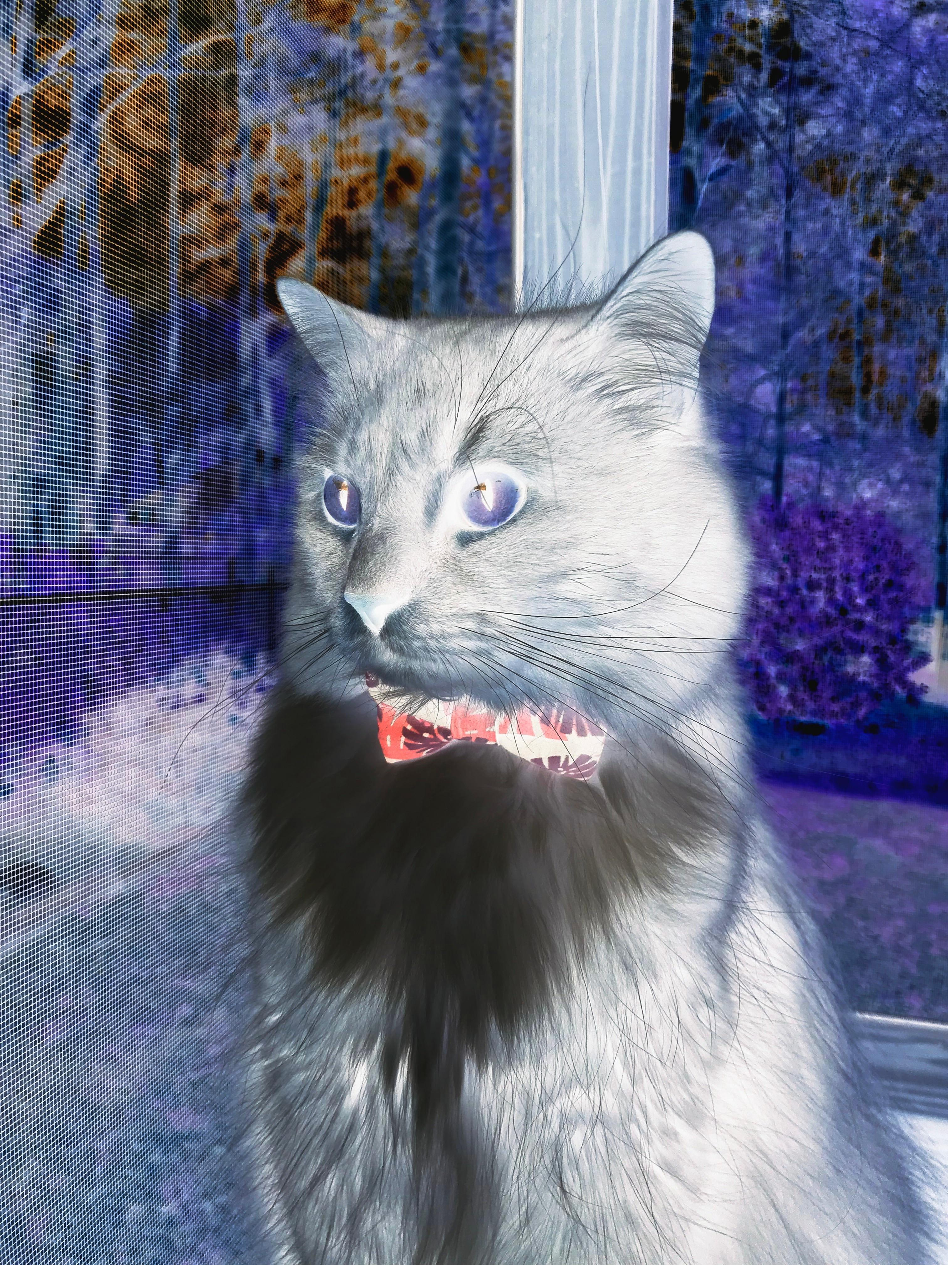 法国举办篮球公益活动,法国举办篮球公益活动是什么