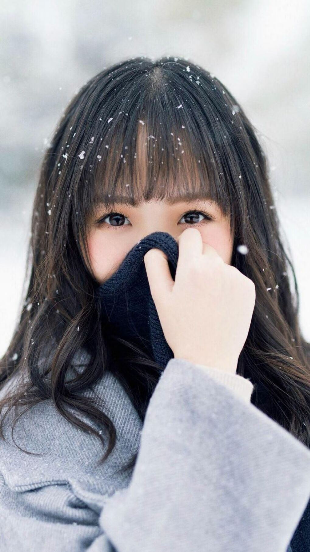 法甲逆转,球迷点赞表现,法甲转会一览 新浪体育