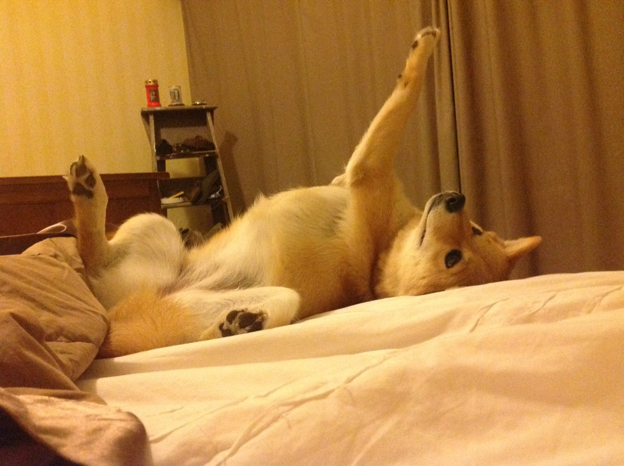 九游娱乐官网 (JIUYOU)-足协推出新赛季激励政策，激发球队战斗力，足协推出新赛季激励政策,激发球队战斗力的句子