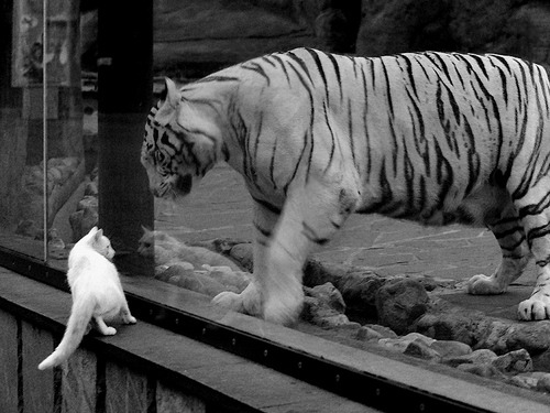 JIU YOU GAME-青少年篮球“城市行”公益巡展在多地火热进行，提升全民健身新热潮