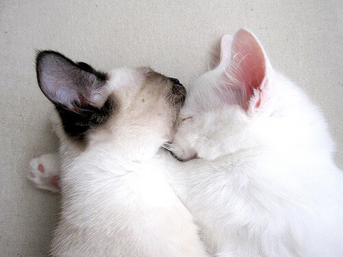 九游娱乐(jiuyou)官方网站-女足亚洲杯资格赛火热进行，2021女足亚洲杯资格赛