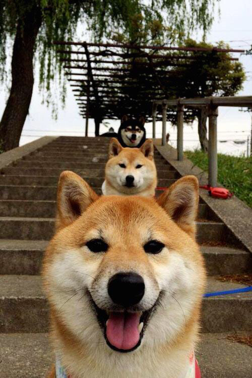 女足亚洲杯资格赛火热进行,2021女足亚洲杯资格赛