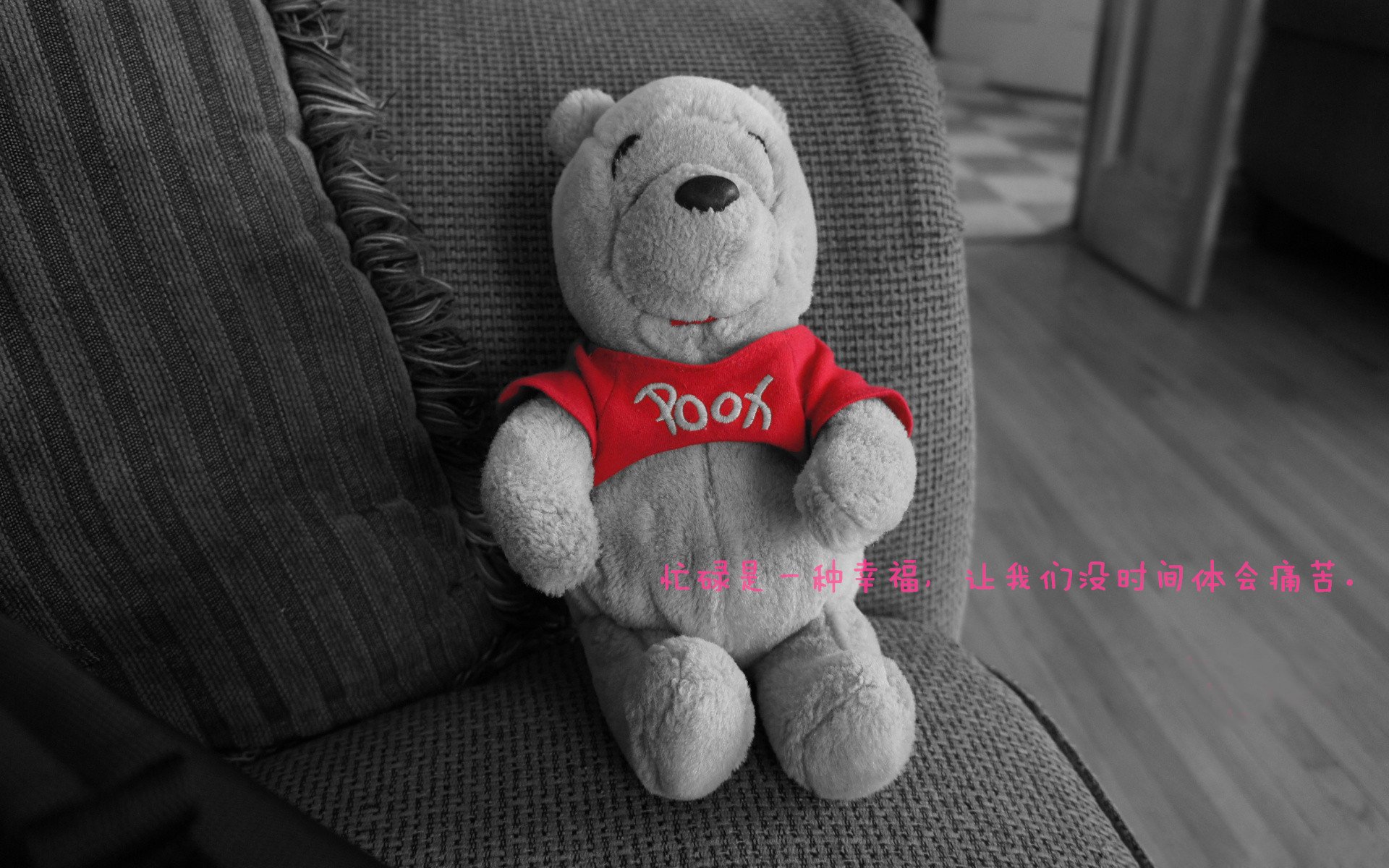 宿迁农商行进攻火力强劲,多面手表现稳定,宿迁农商银行