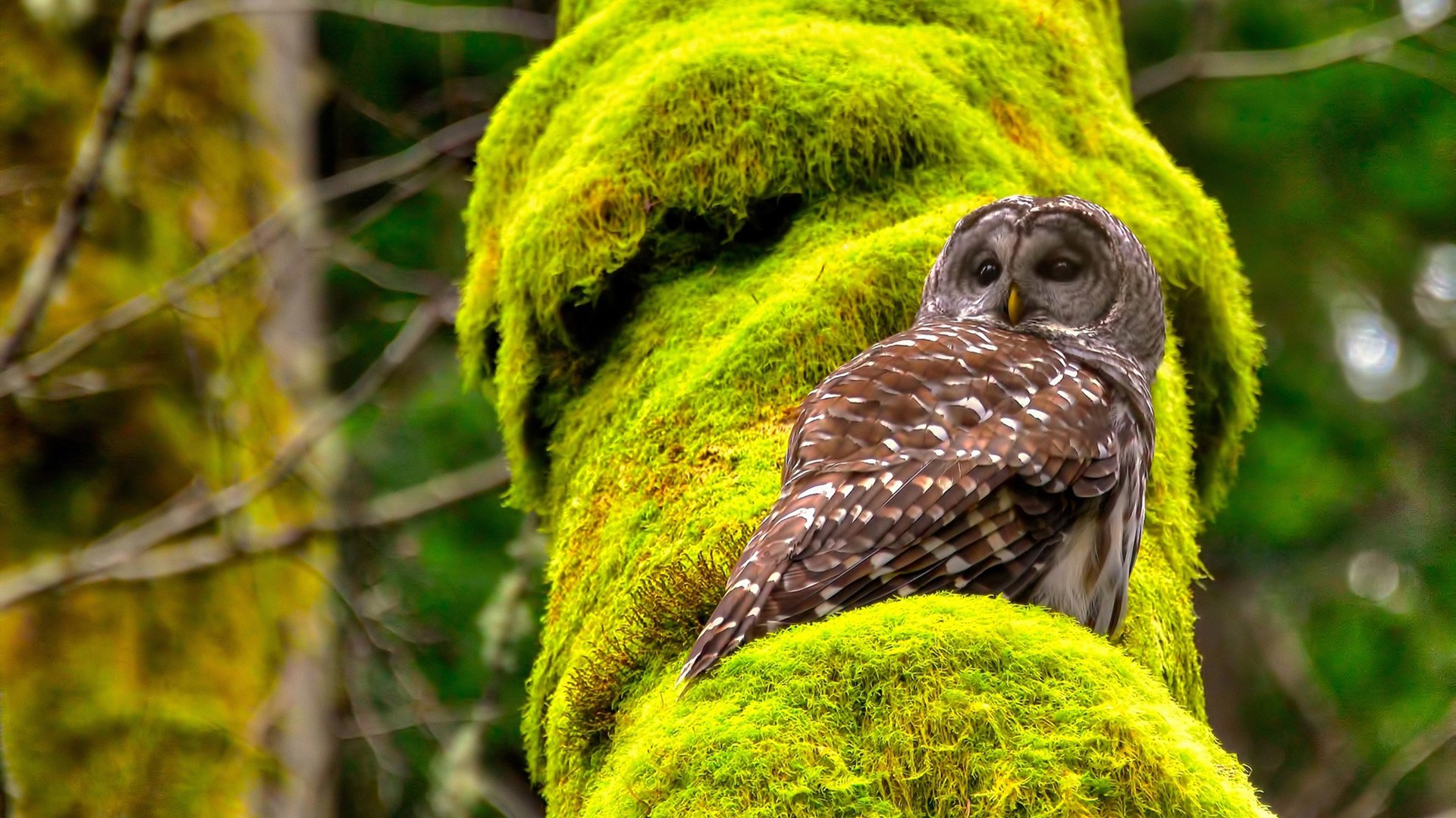 九游游戏中心官网-毕尔巴鄂竞技主场1-0小胜赫塔费，取得宝贵三分，毕尔巴鄂对赫塔菲的比分预测