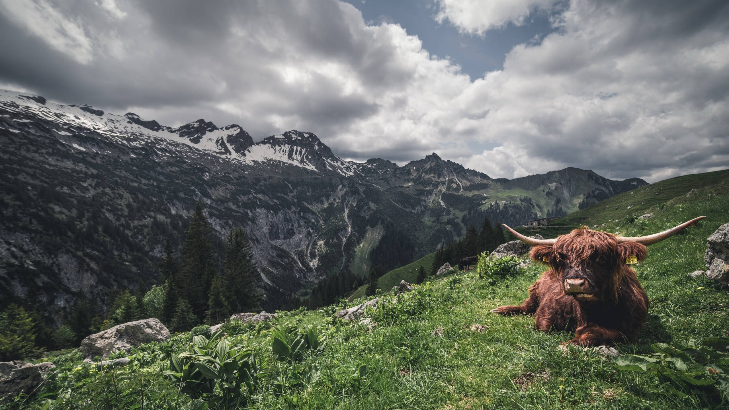 球队新秀崭露头角,年轻力量蓬勃发展