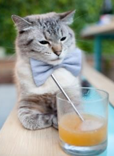 瑞士队主场平局,欧洲杯出线形势严峻,瑞士欧洲杯战况