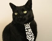 职业篮球俱乐部财务风险管理,篮球俱乐部企业组织结构图