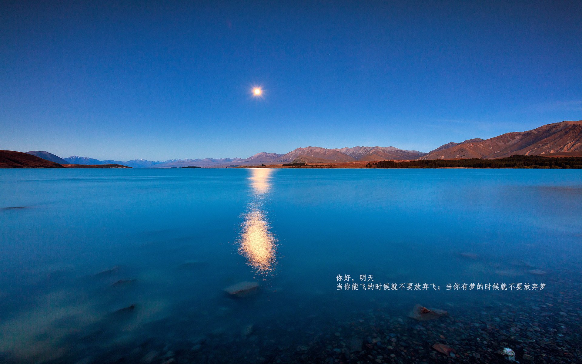 九游正版入口-莱斯特城青训球员崭露头角，未来可期，莱斯特城队员名单