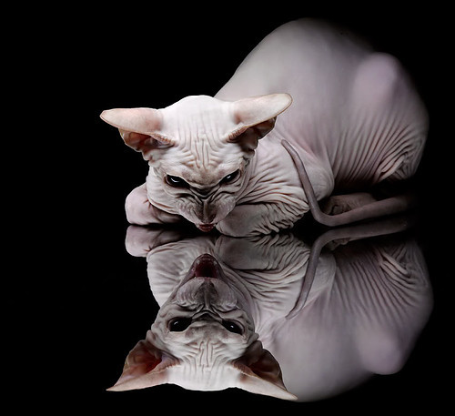 骑士队惨遭惨败,森林狼队取得一场关键胜利,森林狼vs骑士138-140