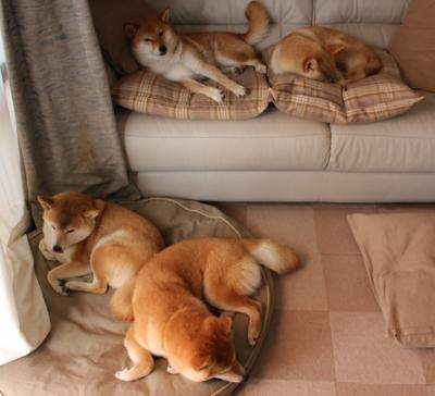 -NBA联盟合同买断机制及其经济影响，nba买断合同球员得不到钱了吗