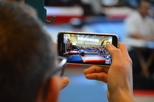 九游app官网下载-中国篮球联赛市场细分与营销研究，篮球联赛介绍