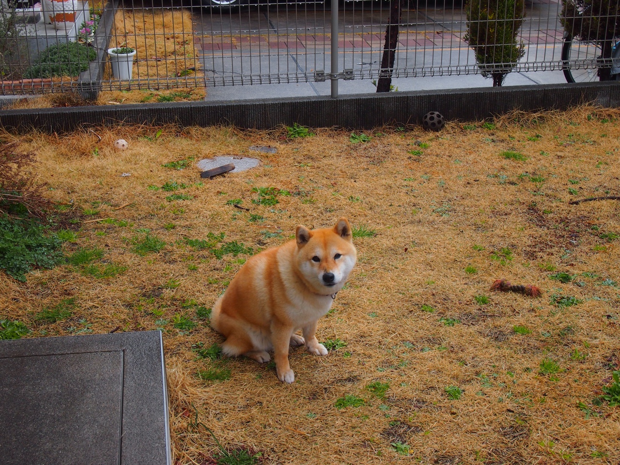 九游游戏中心-体育教师课堂压力应对机制与干预措施研究，体育教师课堂管理