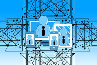 -篮球专项技能课程创新与教学方法研究，篮球专项技术训练要点