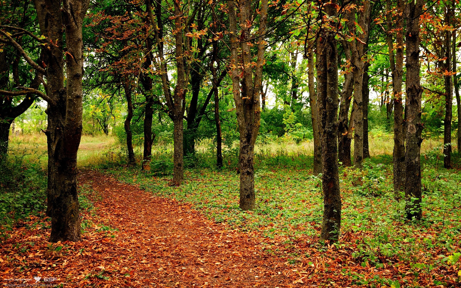 篮球专项技能课程创新与教学方法研究,篮球专项技术训练要点