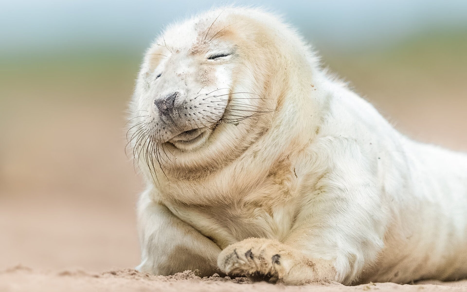 九游网页版官网入口-英超球队基于高频对抗数据构建球员疲劳预测模型，球员疲劳速率