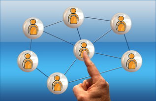 九游APP官网-2024年国际乒联混合团体世界杯：德国队顽强拼搏，2024世乒赛