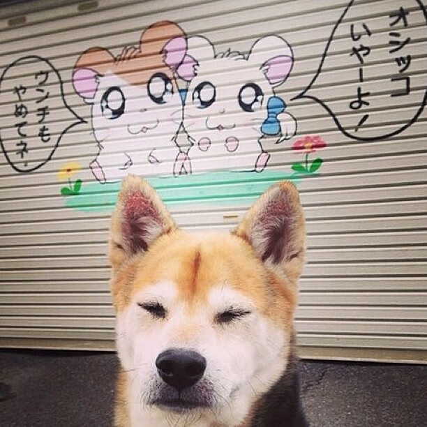 中国女篮打造多点开花进攻格局,中国女篮真棒