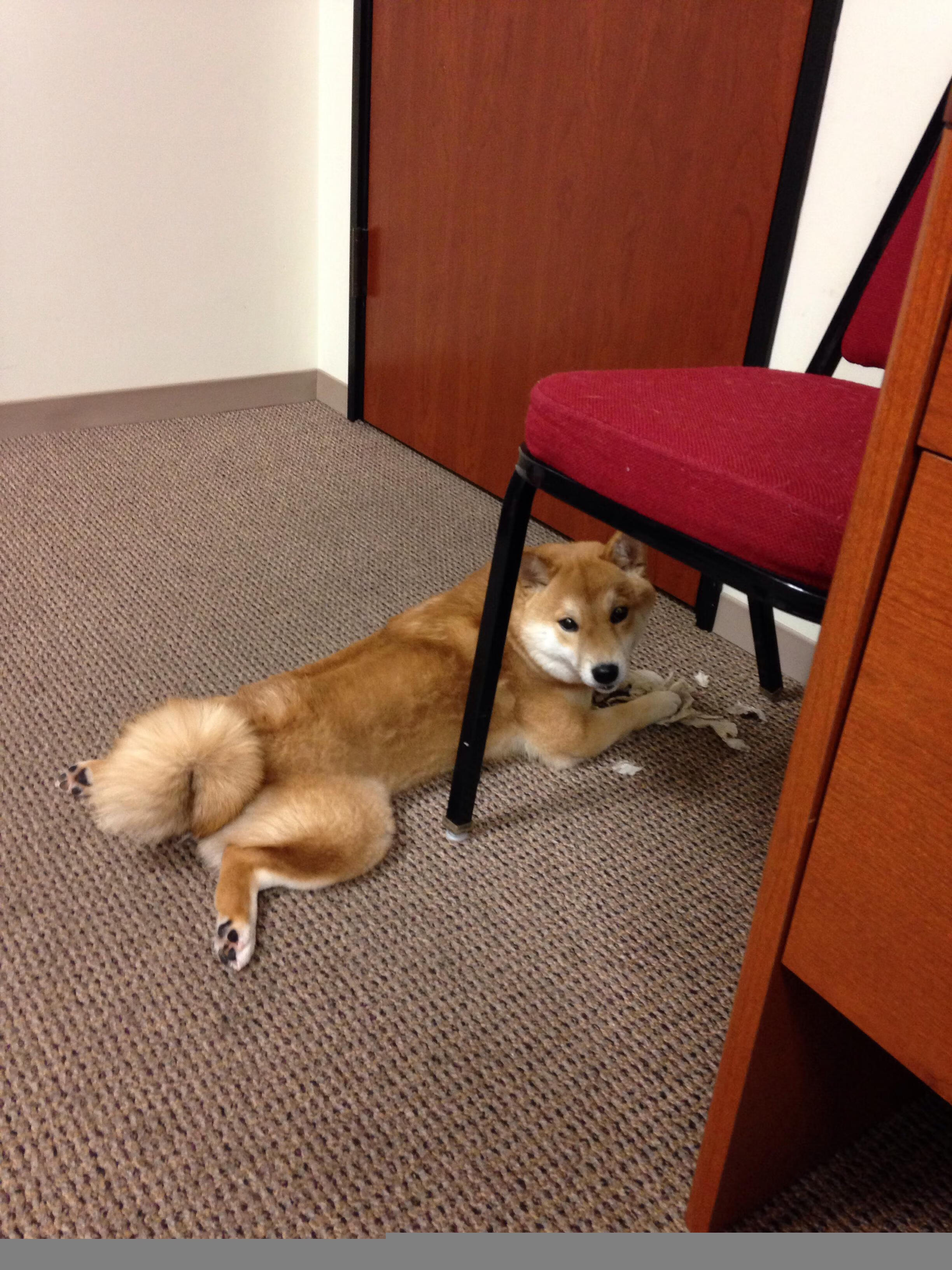 中国足球青训赛事多样化项目吸引更多参与者，中国足球青训大纲内容