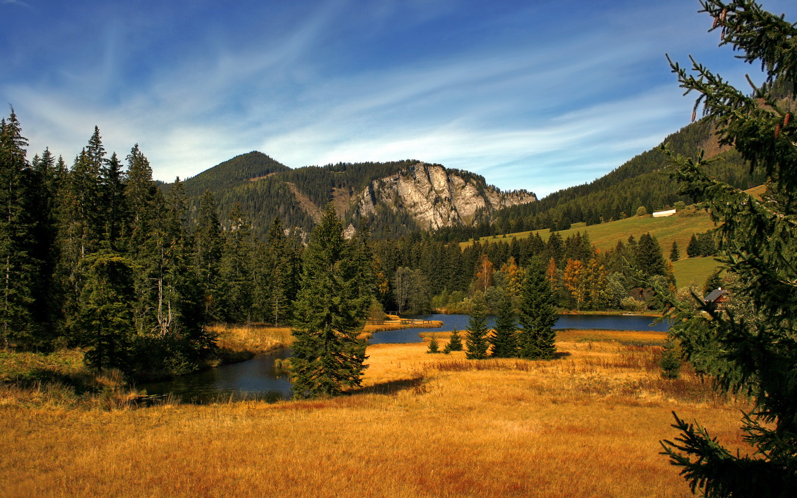 南非羚羊队:以灵活多变的战术打破僵局,每场比赛都充满悬念,羚羊非洲