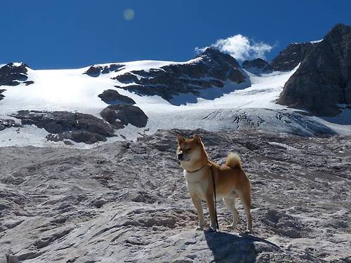 JIUYOU GAMING-哈登率队打出高潮快船稳居前列，哈登晃倒的快船球员是谁