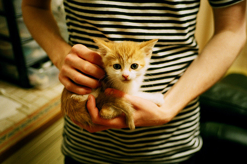 范奥特尔戴克蝶泳50米决赛亮相，范戴克凯尔特人