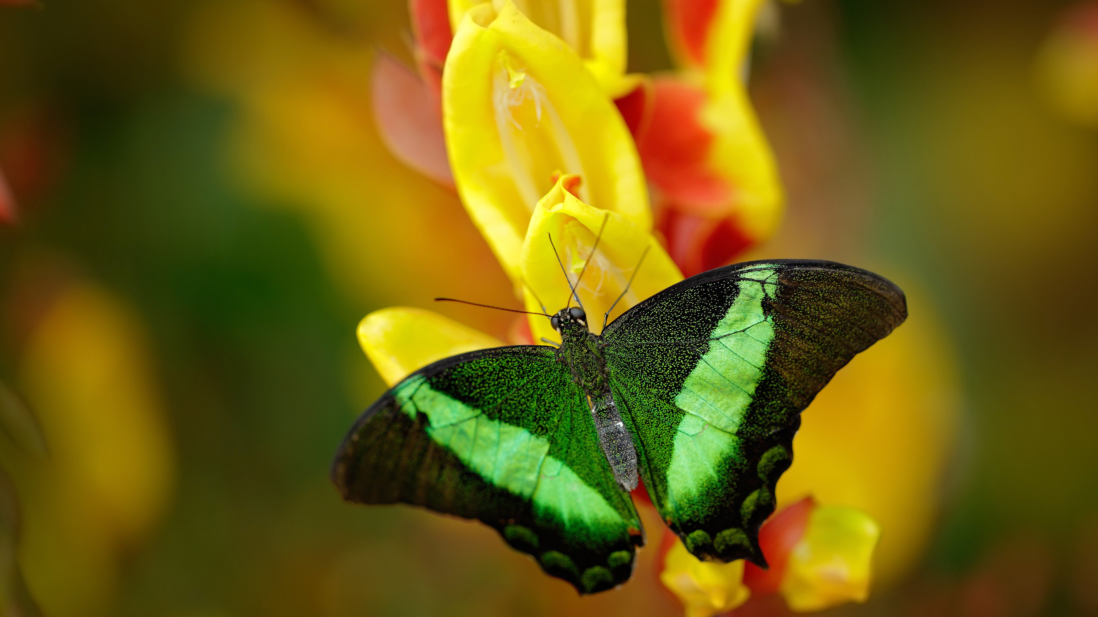 九游游戏中心-西甲精彩瞬间：突破、助攻、救球不停歇！，西甲 助攻榜