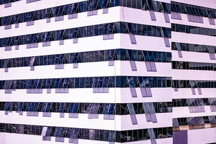 Jiu You-中国篮球职业联赛青训体系建设与优化，中国青年篮球队