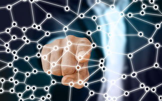 Jiu You-中国篮球职业联赛青训体系的结构优化，中国青年篮球联赛简称