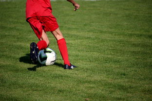 Jiu You-中国篮球青年运动员选拔体系研究，中国篮球国家青年队选拔方式