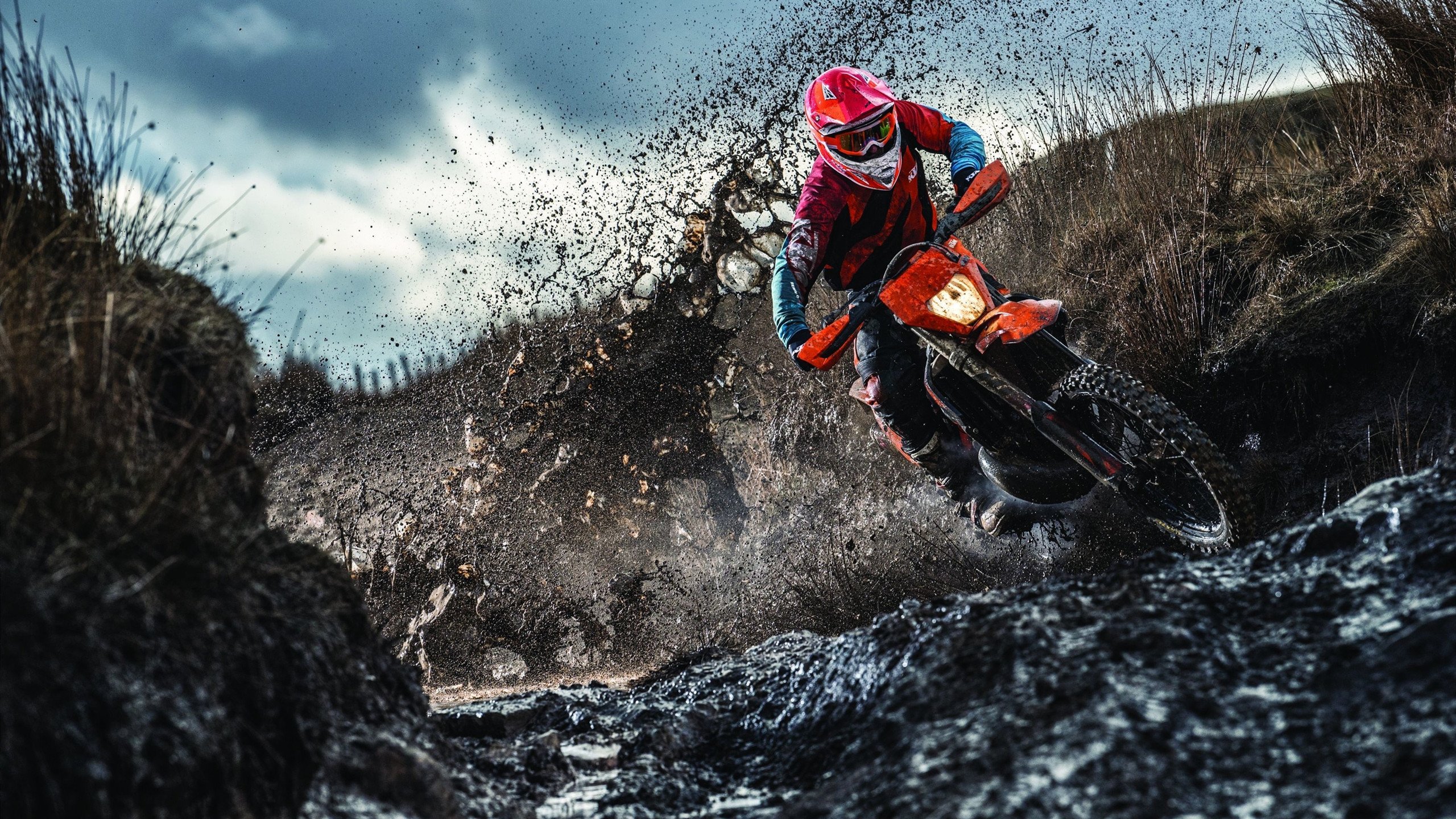 体育新闻中心启动体育数字人内容孵化项目，体育数字化转型